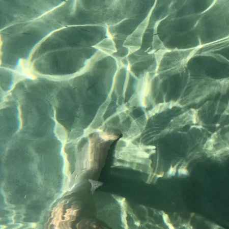 Atlas Relax Apartamento *