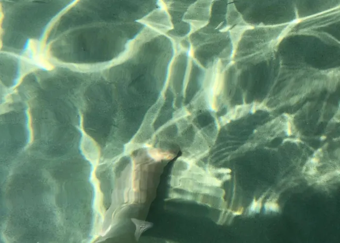 Atlas Relax Apartamento *